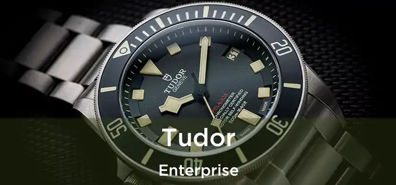 Tudor Enterprise