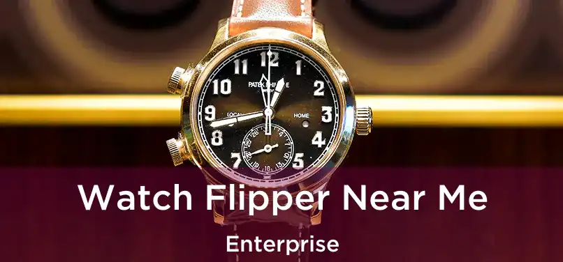 Watch Flipper Near Me Enterprise